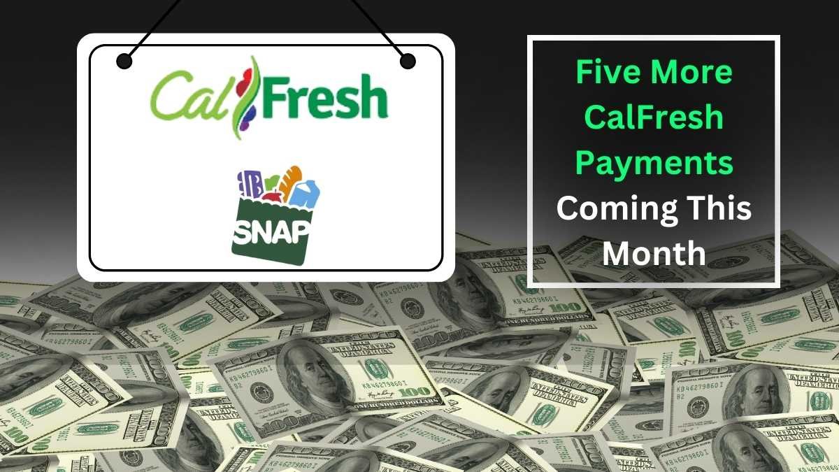 Five More CalFresh Payments Coming This Month – Here’s When You’ll Get Yours